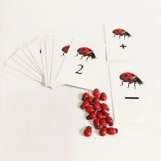 Coccinelles pour apprendre les mathématiques 